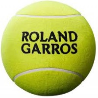 Wilson мяч Roland Garros Jumbo