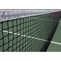 Теннисная сетка TN DT40 